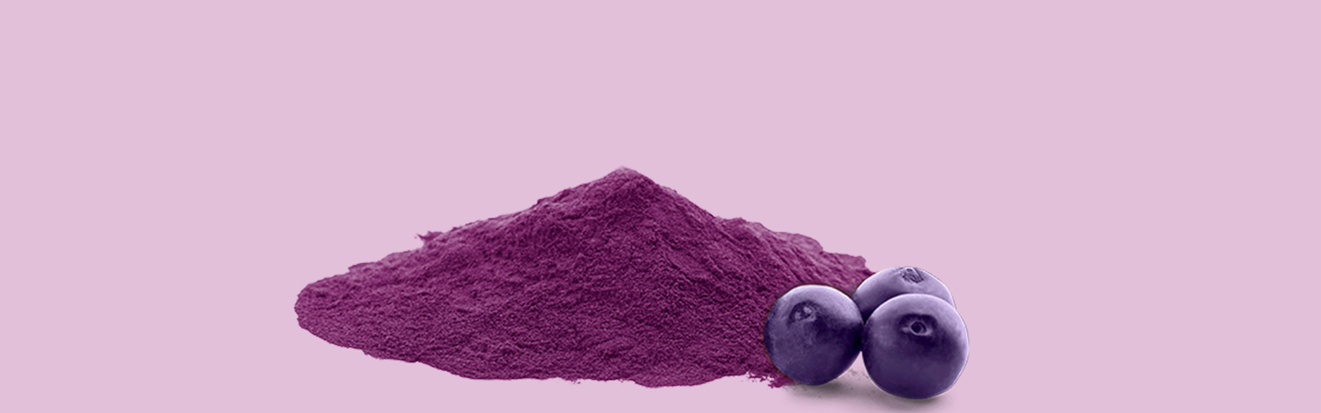 banner.jpg